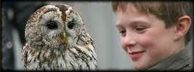 Scottish Falcon Breeders, Owl Breeders